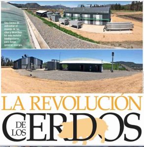 revolucion-de-los-cerdos