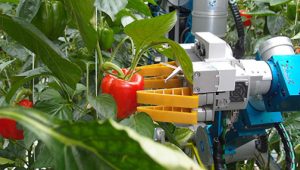 Tendencias-y-tecnologias-agricolas-5