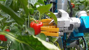 Tendencias-y-tecnologias-agricolas-5