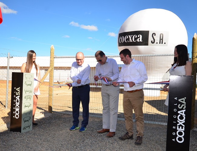 El Embajador de Dinamarca en Chile, Jesper Ferlov Anderser, junto al Presidente del Directorio de Coexca S.A., Ángel Soler y al Gerente General de la empresa, Guillermo García, en el tradicional corte de cinta que da por inaugurado el nuevo plantel productor de cerdos.
