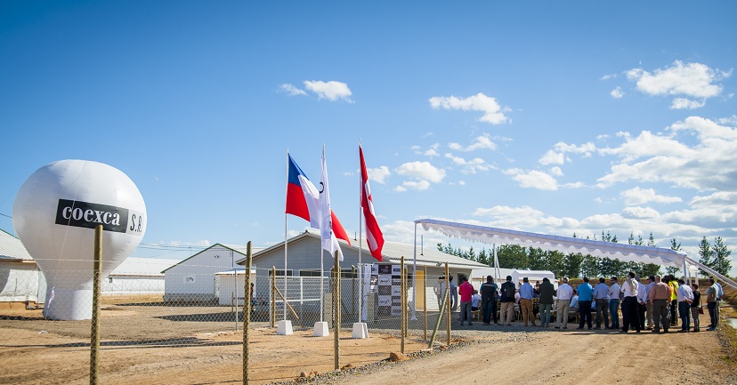 Vista general de la ceremonia de inauguración del nuevo plantel de cerdos inaugurado por Coexca S.A., ubicado en el secano de la comuna de San Javier. 
