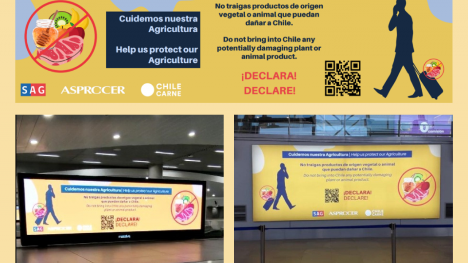 Debutó campaña en el Aeropuerto Internacional Nuevo Pudahuel para prevenir ingreso de enfermedades como la PPA a Chile 