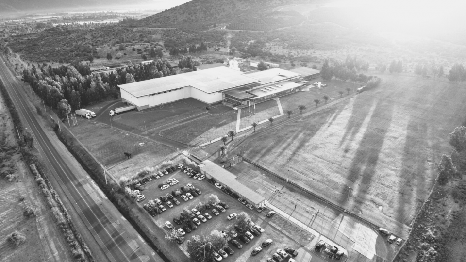 Columna de opinión: “Competitividad, clave para el desarrollo futuro del sector”, por Juan Carlos Domínguez, Presidente de ChileCarne