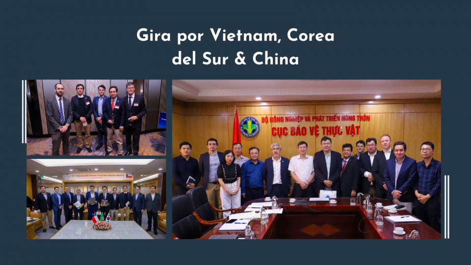 ChileCarne participó en Misión Público Privada en Asia liderada por el Ministerio de Agricultura para reforzar lazos y acuerdos comerciales