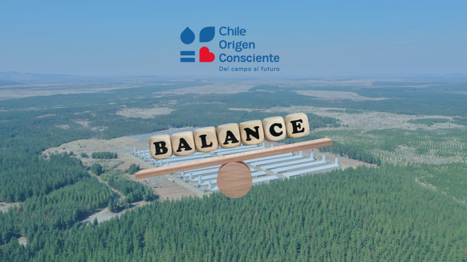 Balance 2023 Chile Origen Consciente: Impulsando la sostenibilidad en el sector agroalimentario chileno